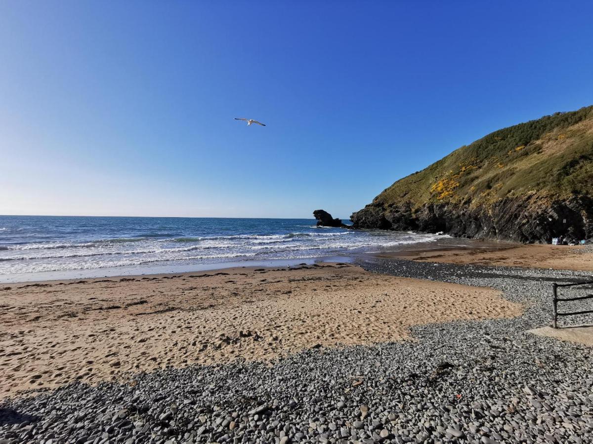 Wellstone Cottages - Coach House Llanfyrnach Екстер'єр фото