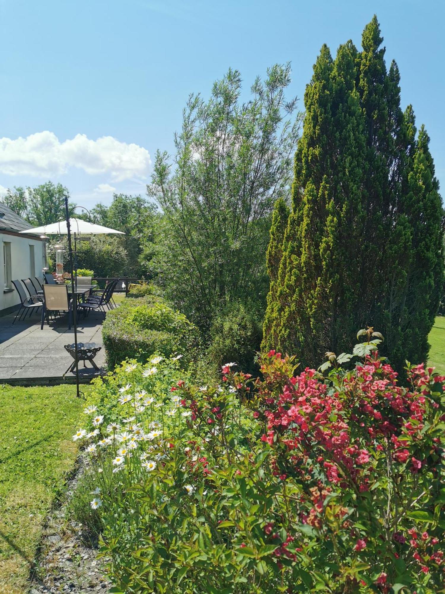 Wellstone Cottages - Coach House Llanfyrnach Екстер'єр фото